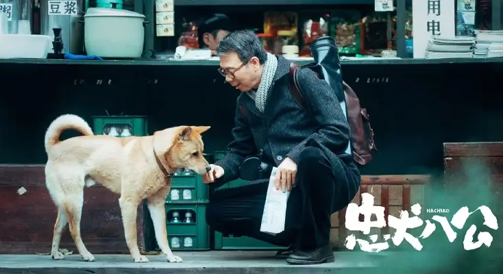 在国外看电视剧地区限制怎么办